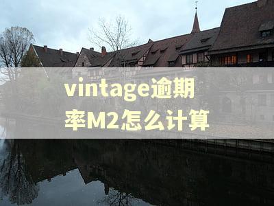 vintage逾期率M2怎么计算