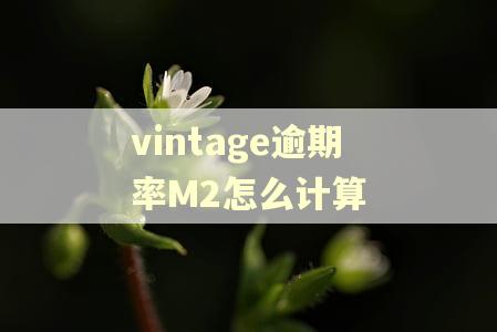vintage逾期率M2怎么计算