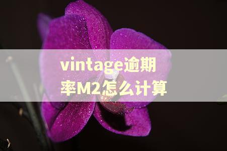 vintage逾期率M2怎么计算