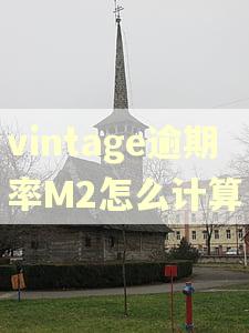 vintage逾期率M2怎么计算 vintage逾期率M2怎么计算