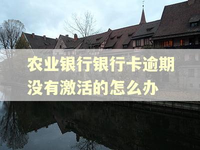 农业银行银行卡逾期没有激活的怎么办