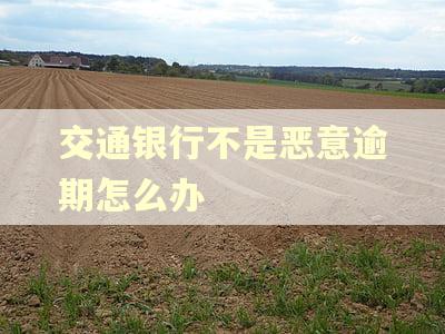 交通银行不是恶意逾期怎么办 交通银行不是恶意逾期怎么办