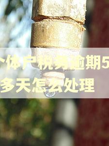 个体户税务逾期500多天怎么处理