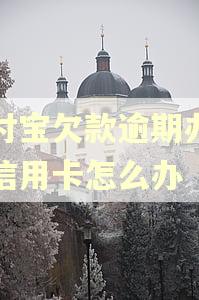 支付宝欠款逾期办不了信用卡怎么办 支付宝欠款逾期办不了信用卡怎么办