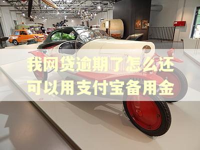 我网贷逾期了怎么还可以用支付宝备用金