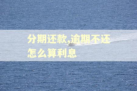 分期还款,逾期不还怎么算利息