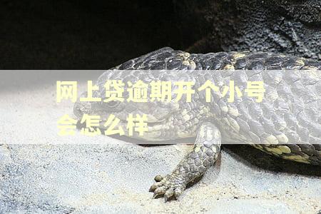 网上贷逾期开个小号会怎么样
