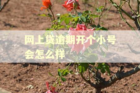 网上贷逾期开个小号会怎么样