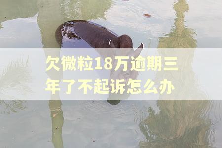 欠微粒18万逾期三年了不起诉怎么办