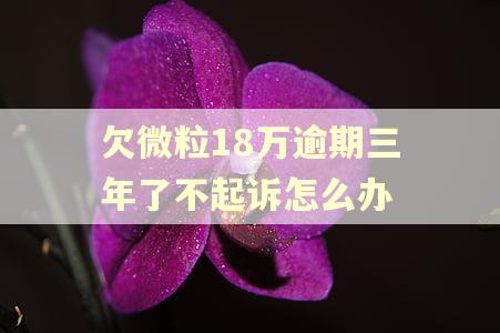 欠微粒18万逾期三年了不起诉怎么办