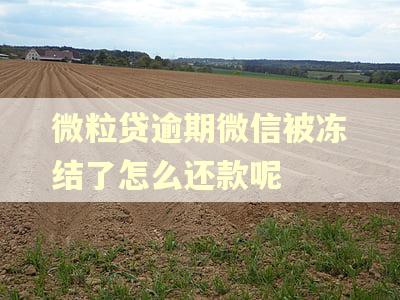 微粒贷逾期微信被冻结了怎么还款呢