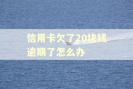 信用卡欠了20块钱逾期了怎么办 信用卡欠了20块钱逾期了怎么办