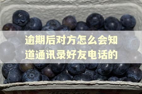 逾期后对方怎么会知道通讯录好友电话的
