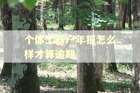 个体工商户年报怎么样才算逾期