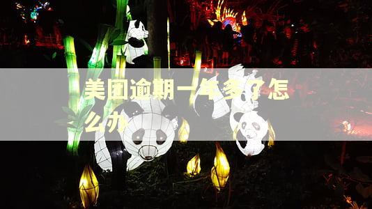美团逾期一年多了怎么办