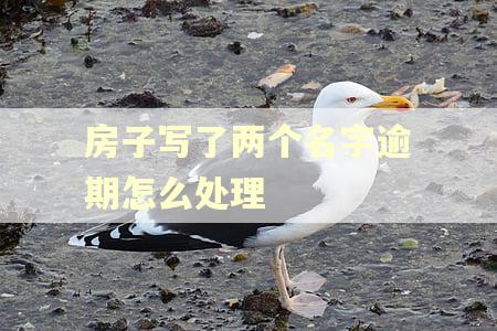 房子写了两个名字逾期怎么处理
