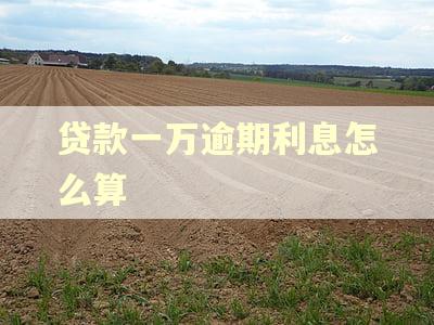 贷款一万逾期利息怎么算