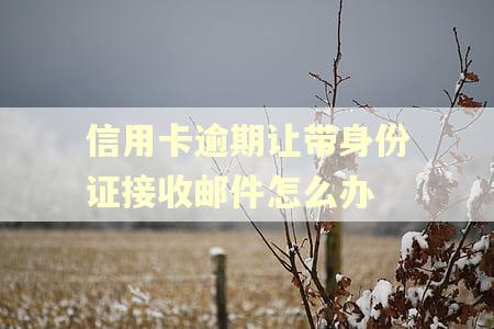 信用卡逾期让带身份证接收邮件怎么办