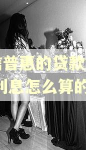 宜信普惠的贷款逾期后,利息怎么算的