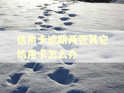 信用卡逾期两张其它信用卡怎么办