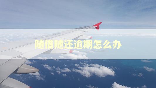 随借随还逾期怎么办