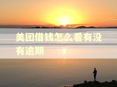 美团借钱怎么看有没有逾期
