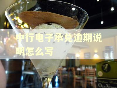中行电子承兑逾期说明怎么写