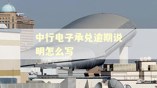 中行电子承兑逾期说明怎么写