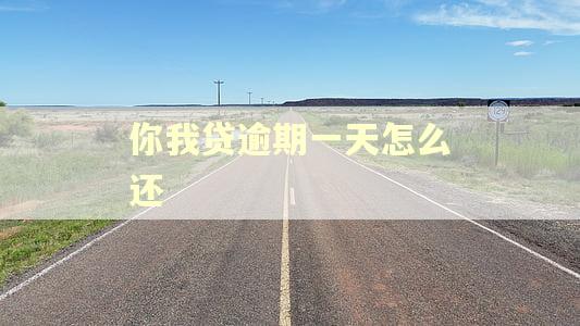 你我贷逾期一天怎么还
