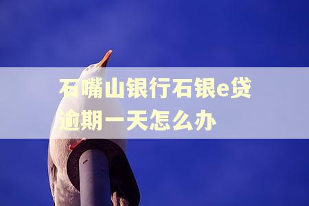 石嘴山银行石银e贷逾期一天怎么办