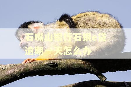 石嘴山银行石银e贷逾期一天怎么办
