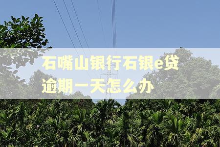 石嘴山银行石银e贷逾期一天怎么办