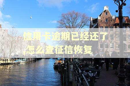 信用卡逾期已经还了,怎么查征信恢复
