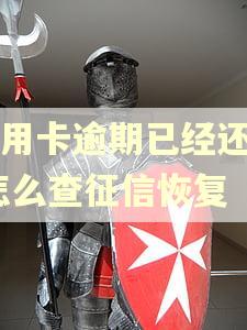 信用卡逾期已经还了,怎么查征信恢复