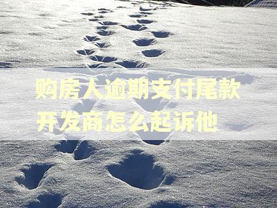 购房人逾期支付尾款开发商怎么起诉他