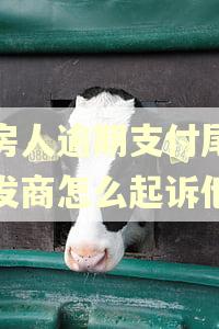 购房人逾期支付尾款开发商怎么起诉他