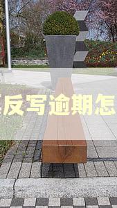 开票反写逾期怎么办