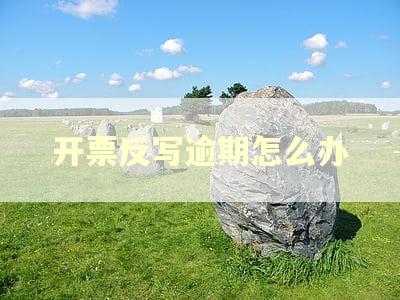 开票反写逾期怎么办