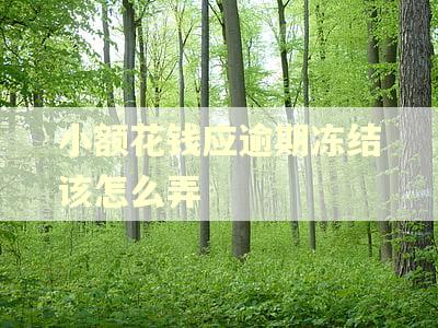 小额花钱应逾期冻结该怎么弄