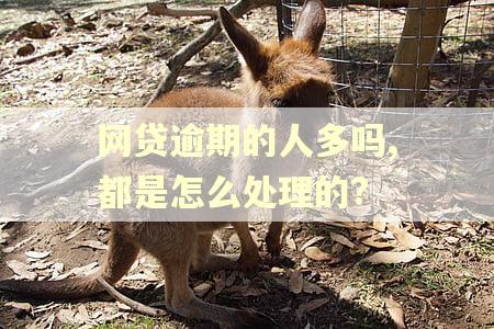 网贷逾期的人多吗,都是怎么处理的?