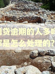 网贷逾期的人多吗,都是怎么处理的?