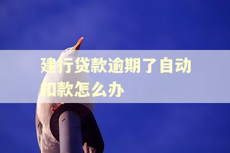 建行贷款逾期了自动扣款怎么办 建行贷款逾期了自动扣款怎么办