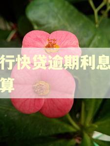 建行快贷逾期利息怎么算