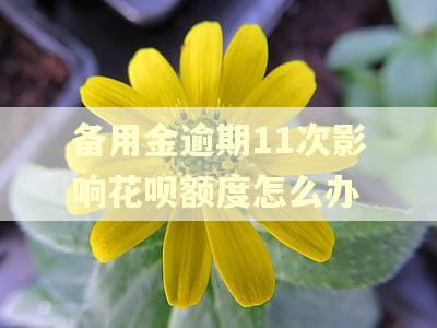 备用金逾期11次影响花呗额度怎么办