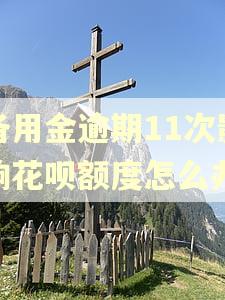 备用金逾期11次影响花呗额度怎么办