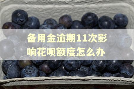 备用金逾期11次影响花呗额度怎么办