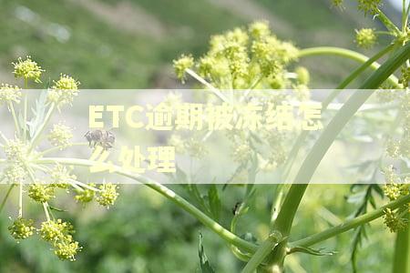 ETC逾期被冻结怎么处理