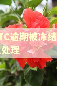 ETC逾期被冻结怎么处理 ETC逾期被冻结怎么处理