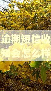 网贷逾期短信收到外访通知会怎么样