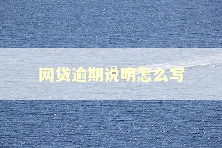 网贷逾期说明怎么写
